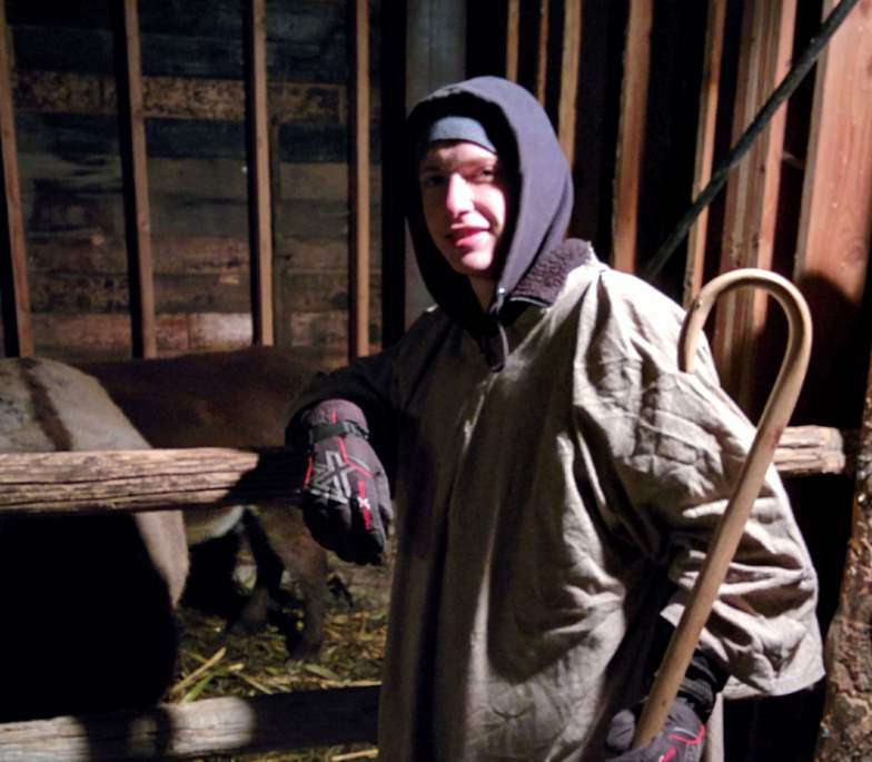 Gerrit tending the donkeys