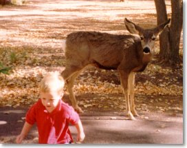 Ethan & deer