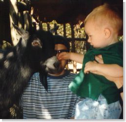 Ethan & A Goat